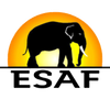 Logo of the association Association ESAF France 